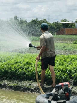 Vì sao 1 tấn lúa sử dụng gần 5.000 mét khối nước?