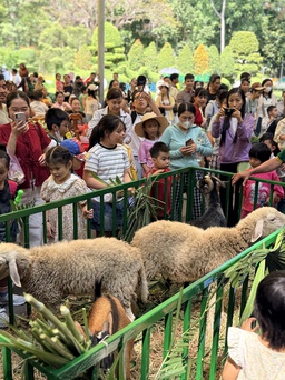 Rùa, vẹt, cừu… diễu hành mừng 162 năm Thảo Cầm Viên, trẻ em thích thú