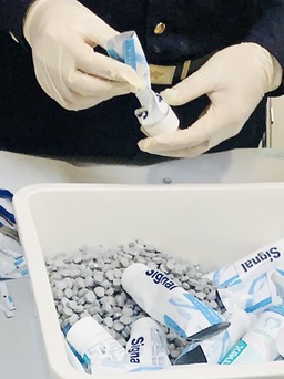 Chuyên án bí số VN10: Không xử lý hình sự 4 nữ tiếp viên hàng không