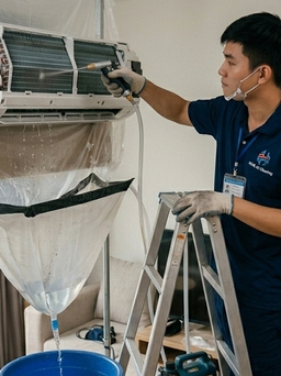 Cảnh báo ổ vi nấm, mạt bụi trong điều hòa