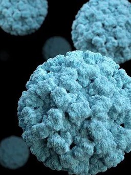 Virus gây nôn mửa đang lây lan hầu hết nước Mỹ