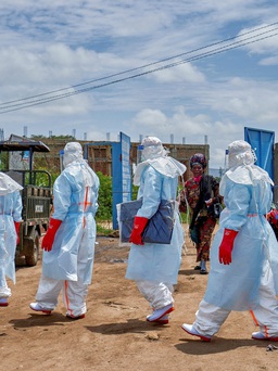 Ca nhiễm Ebola tăng, Mỹ giục châu Âu siết đi lại