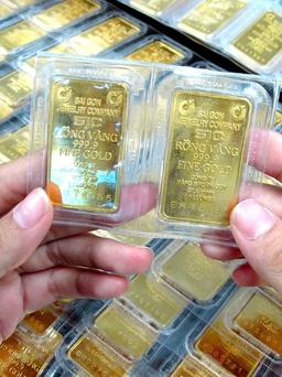 Giá vàng hôm nay 16.6.2026: Dứt mạch tăng, nín thở chờ xu hướng mới?