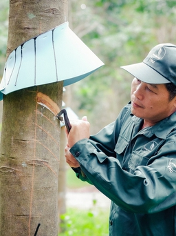 VRG: Khát vọng tăng trưởng hai con số kiến tạo không gian phát triển mới