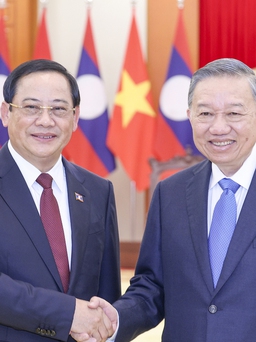 Việt Nam luôn ủng hộ mạnh mẽ công cuộc đổi mới của Lào