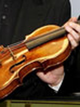 Dây đàn violin từ tơ nhện