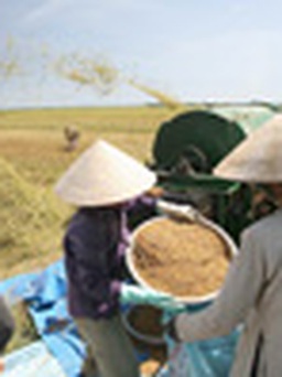 Tìm lối ra cho kinh tế Việt Nam - Kỳ 11: Chọn nông nghiệp là mũi nhọn