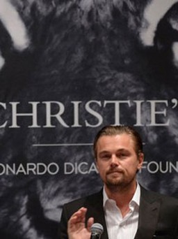 Leonardo DiCaprio bỏ ra 3 triệu USD... cứu hổ