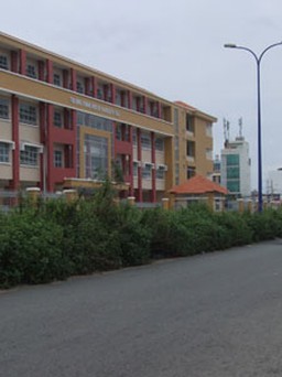 Đã phát cỏ trên dải phân cách