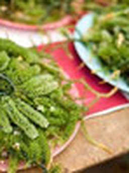 Tẩm bổ mùa Xuân