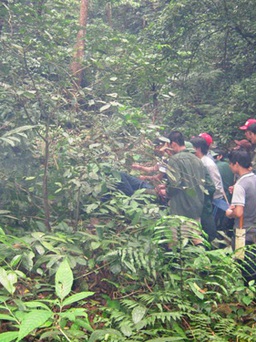 Vụ thảm sát 5 thợ rừng: Đã bắt được nghi phạm người Lào