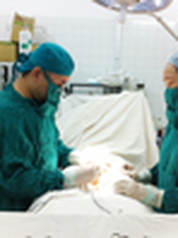 Gặp họa vì đi tìm ‘bản lĩnh đàn ông’
