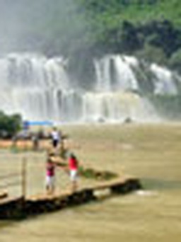 Hơn 5.300 khách mua được tour giá rẻ