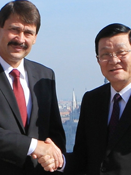 Chủ tịch nước Trương Tấn Sang hội đàm với Tổng thống Hungary