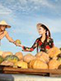 Nông dân trúng mùa bí rợ