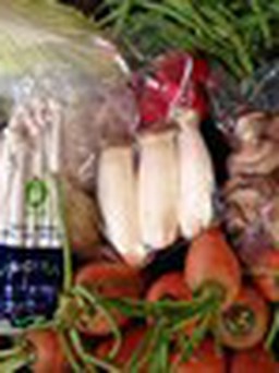 Nấm không rõ nguồn gốc tràn lan thị trường