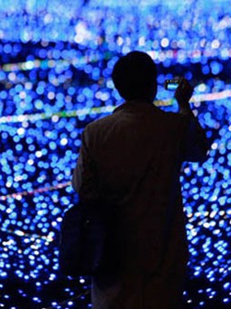 Dây đèn Giáng sinh lập kỷ lục với 1,2 triệu bóng đèn