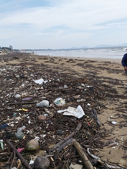 Bãi Sau biển Vũng Tàu ken đặc rác thải, mùi hôi thối nồng nặc