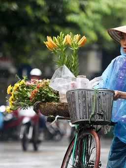 Sớm hôm chợ hoa Quảng Bá