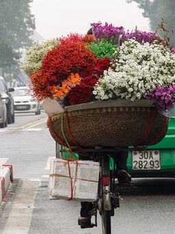 Hà Nội - mắt biếc tim tôi