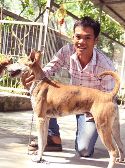 Chàng trai 8X nuôi cơ ngơi chó Phú Quốc thu hàng trăm triệu đồng ở Sài Gòn