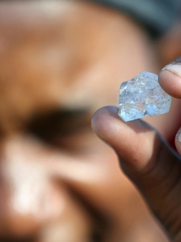 Giải mã cơn sốt đào 'kim cương' tại Nam Phi