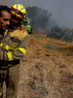WHO: hơn 1.700 người chết tại Tây Ban Nha, Bồ Đào Nha vì nắng nóng
