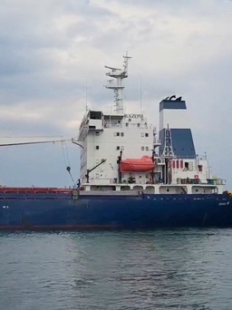 Tàu hàng chở ngũ cốc đầu tiên rời cảng Ukraine từ đầu chiến sự