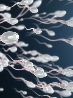 Nghiên cứu mới: lượng tinh trùng của nam giới ngày càng giảm mạnh