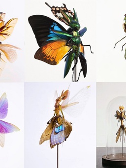 Độc đáo các tác phẩm nghệ thuật làm từ côn trùng và giá đỗ