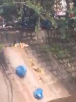 Nóng mạng xã hội: Quán ăn Đà Lạt vô tư vứt từng bịch rác xuống suối Cam Ly