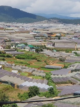 Lâm Đồng: Hơn 178 tỉ đồng thực hiện đề án quản lý nhà kính