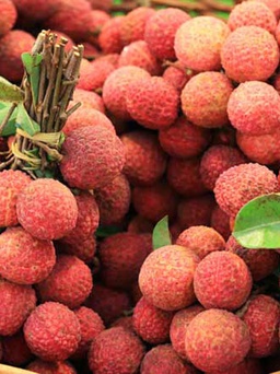 Người bệnh tiểu đường có nên ăn vải không?