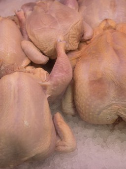 Cảnh báo trào lưu nấu thịt gà với thuốc cảm có thể gây hại phổi