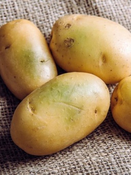 Vì sao ăn khoai tây có mầm, chuyển màu xanh có thể gây ngộ độc?