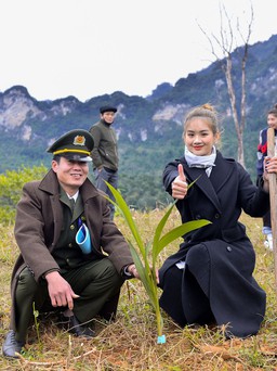 Á khôi Miss Tourism Vietnam trồng cây phủ xanh khu bảo tồn thiên nhiên ở Tuyên Quang