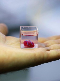 Đột phá: Lần đầu tiên in 3D được tim người hoàn chỉnh
