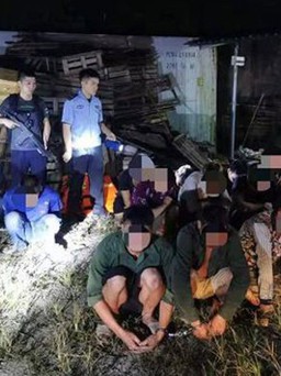 Trung Quốc bắt nhóm người Việt buôn lậu số lượng lớn cá sấu, khỉ
