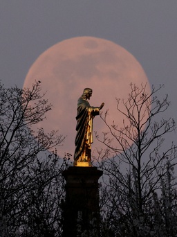 Cách ly xã hội chống Covid-19 có dịp ngắm 'siêu trăng hồng' lớn nhất năm