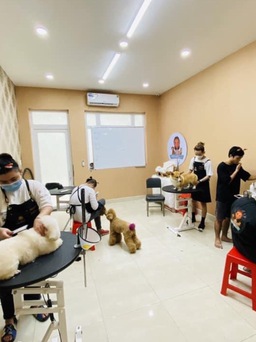 'Cháy hàng' dịch vụ thú cưng ngày tết