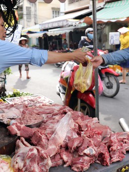 Giá heo hơi hôm nay 27.9.2022: Cao nhất 63.000 đồng, thấp nhất 56.000 đồng/kg