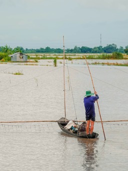 Sông Mê Kông: Lũ rút, thủy điện vào mùa xả nước