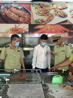 Nha Trang: Kiểm tra nhà hàng bị tố 'chặt chém' 0,5 kg ốc hương giá 900.000 đồng