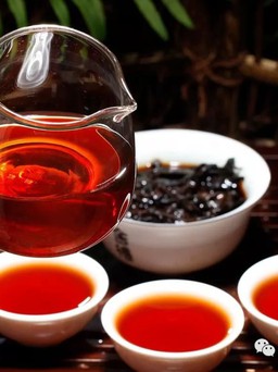 Bạch trà - trà hiếm hoi nhất trên thế giới có gì đặc biệt?