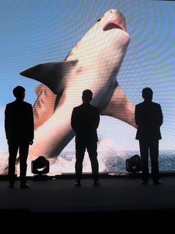 Chính thức khởi động 'Shark Tank Việt Nam' mùa 5 trên VTV3