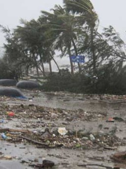 Sẽ có 4 - 5 cơn bão ảnh hưởng trực tiếp đến Việt Nam
