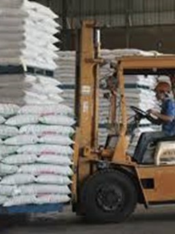 Hạn ngạch nhập khẩu 85.000 tấn đường đã có chủ
