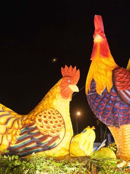 Du khách và người dân thích thú với lễ hội xuân Đinh Dậu đầu tiên