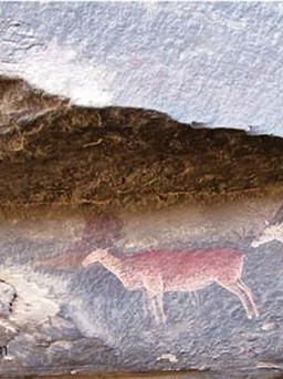 Xác định niên đại của các tác phẩm trên đá ở phía nam châu Phi