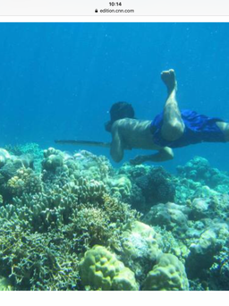 Vì sao bộ tộc 'người cá' Bajau lặn sâu đến 70 mét?